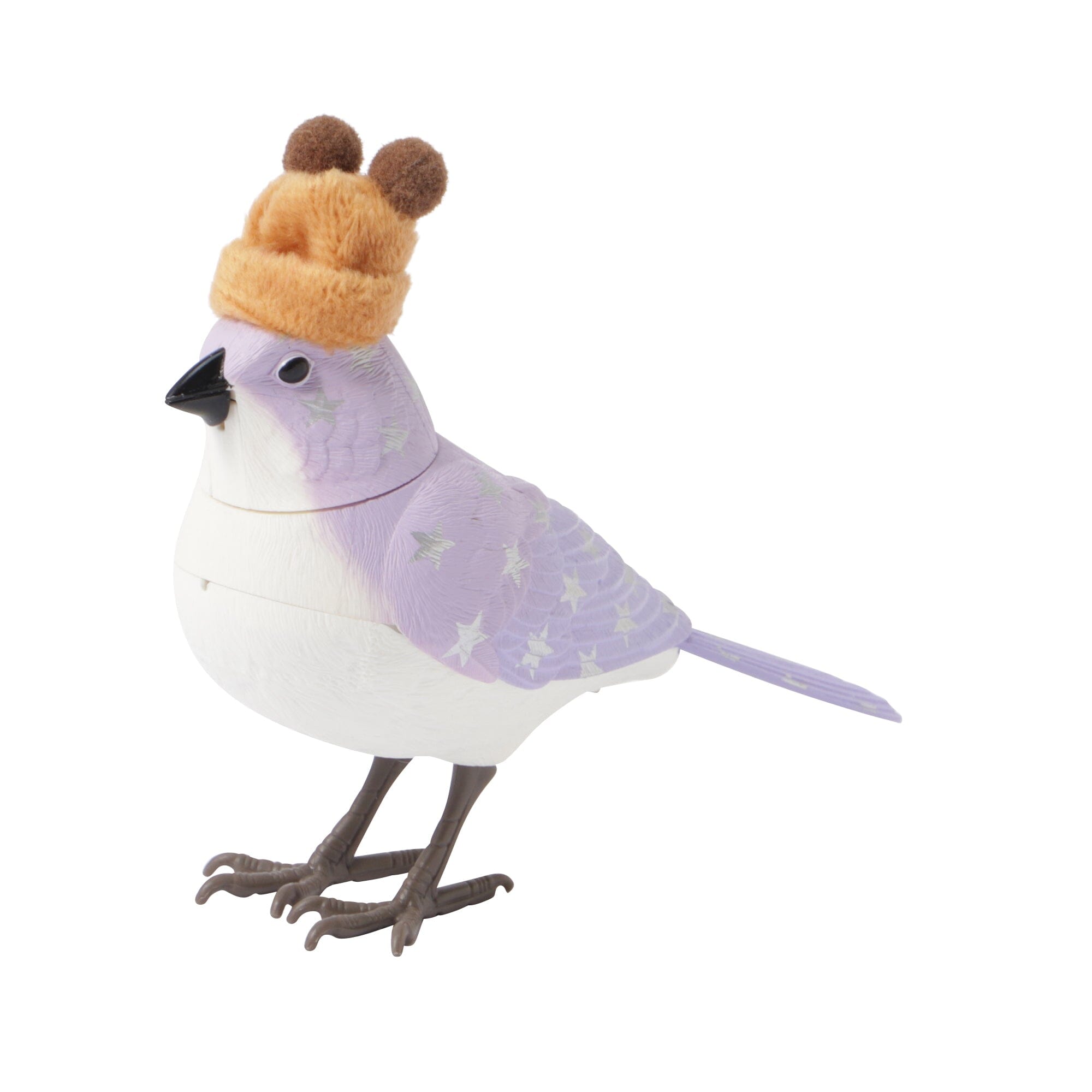 Music Bird Purple