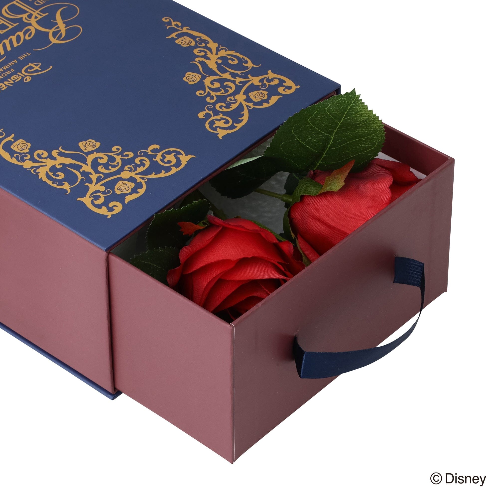 Disney Magic of Chemistry  Beauty and the Beast  Diffuser