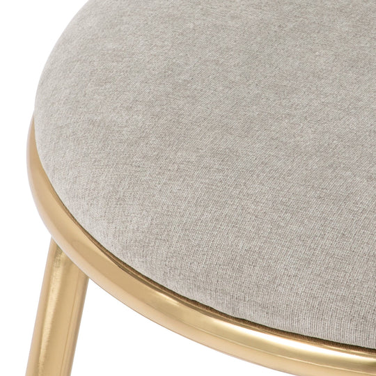 Felicite Chair 2  W445×D580×H865 Grey