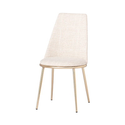 Furniture & Rug