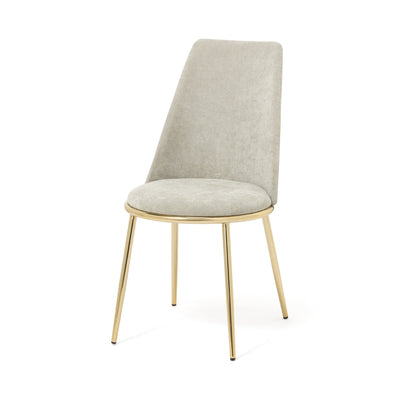 Furniture & Rug
