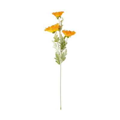 Art Flower Poppy L Orange