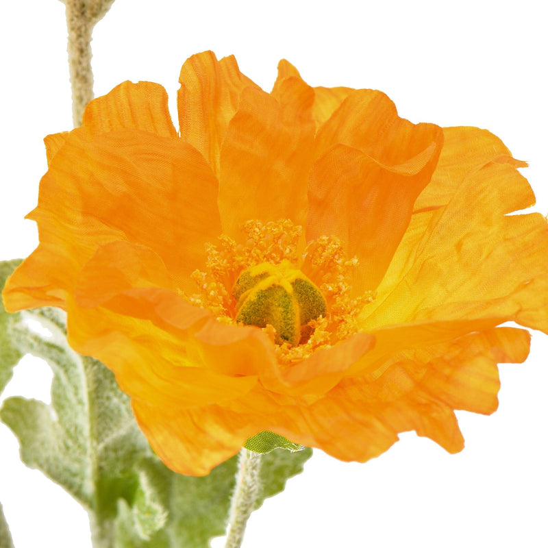 Art Flower Poppy L Orange