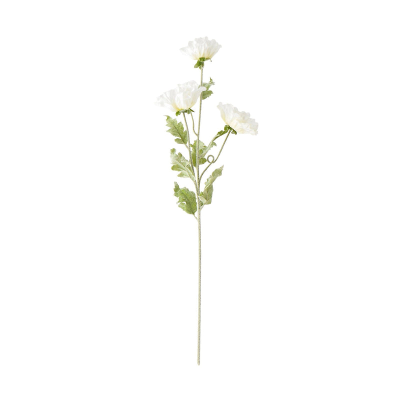 Art Flower Poppy L White