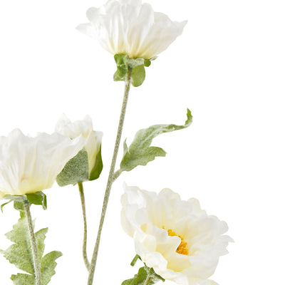 Art Flower Poppy L White
