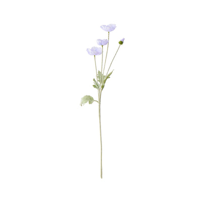 Art Flower Poppy S Purple