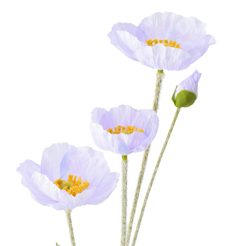 Art Flower Poppy S Purple