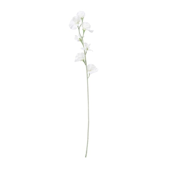 Art Flower Sweetpea  White