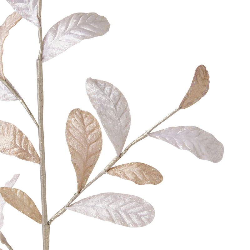 Art Plants Velvet Leaf Ivory