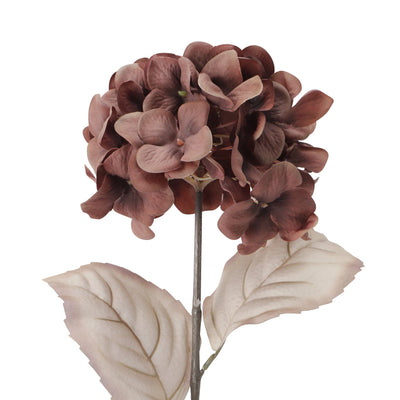 Art Flower Hydrangea Brown