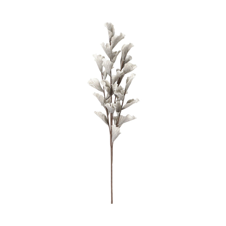 Art Plant Lily Light Grey