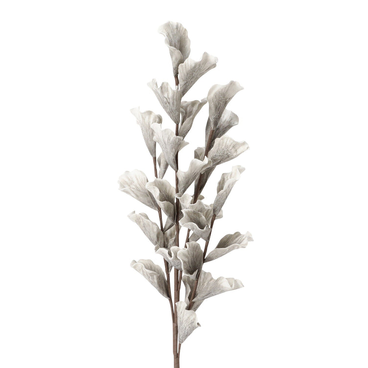 Art Plant Lily Light Grey