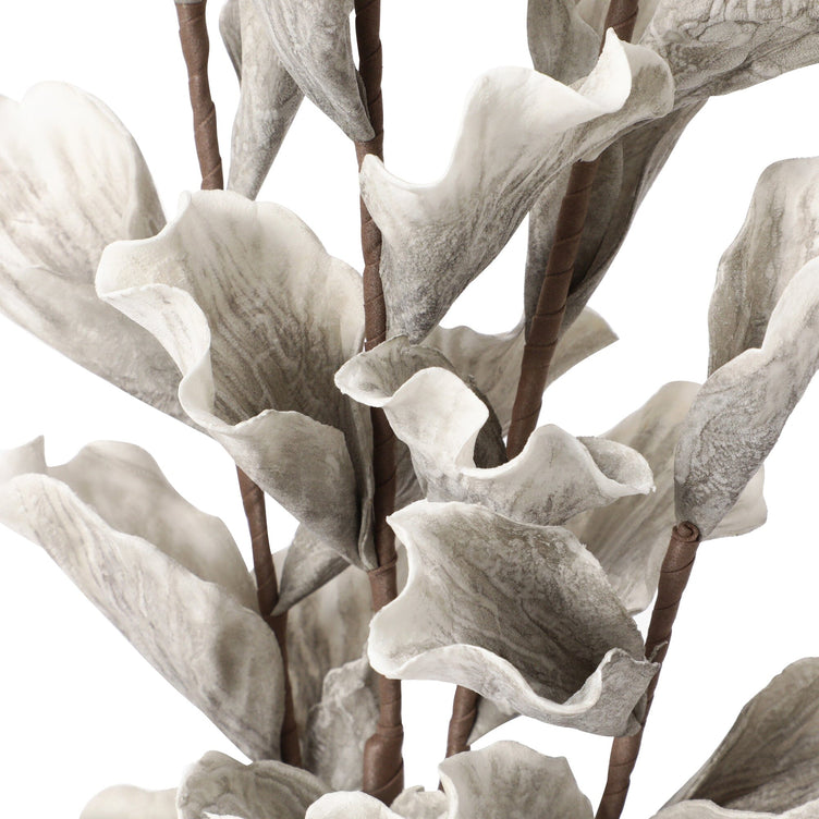 Art Plant Lily Light Grey