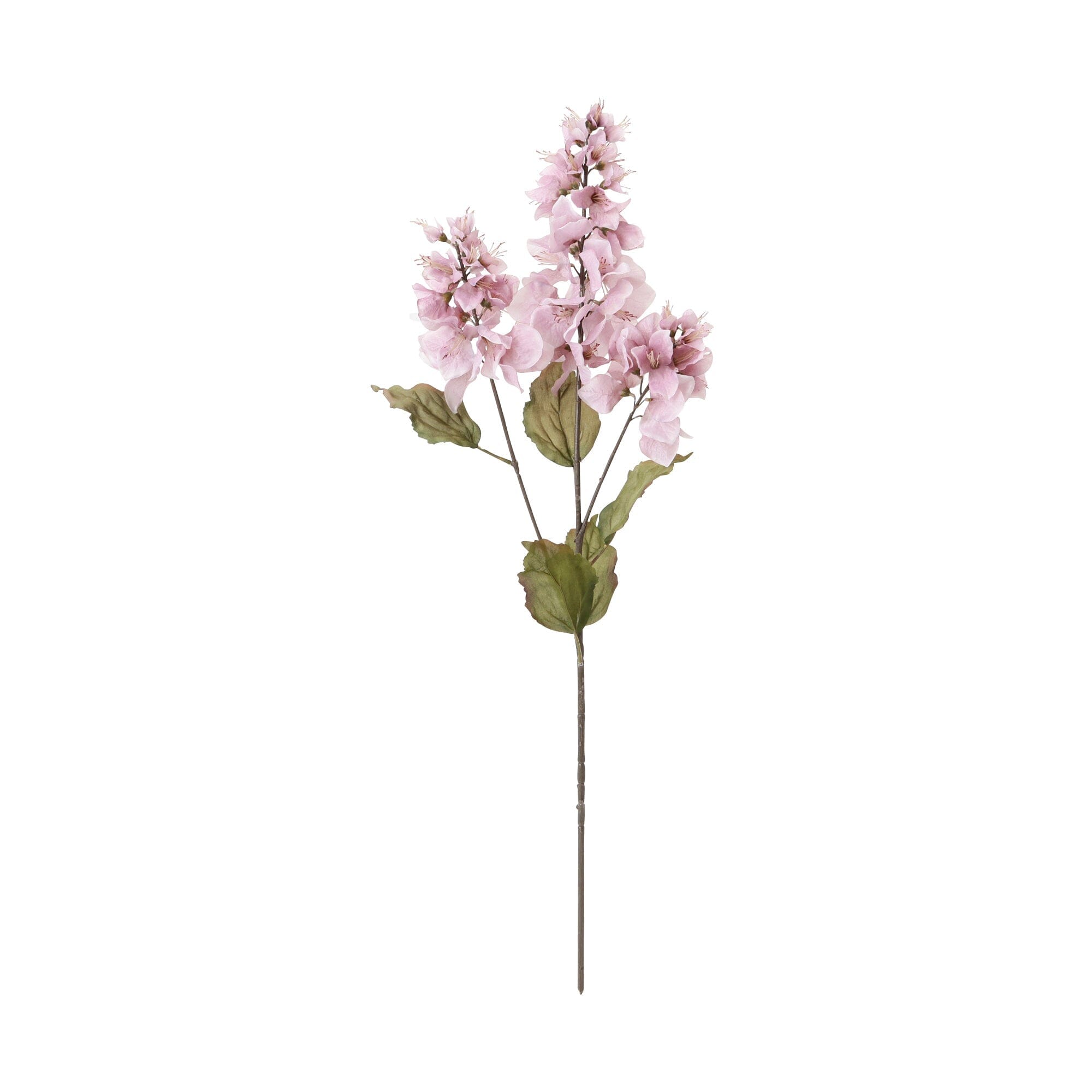 Art Flower Bougainvillea Light Purple