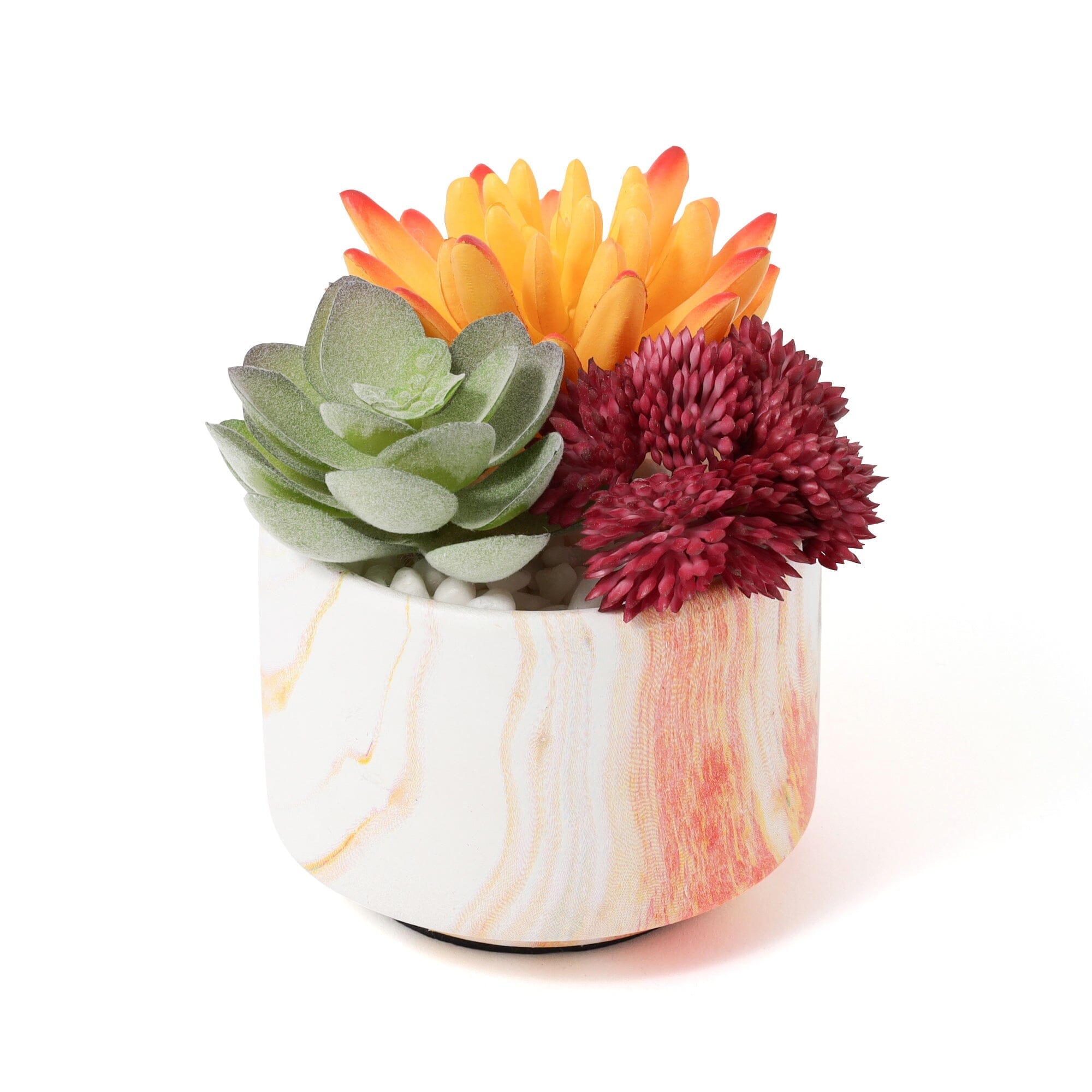 Art Green & Pot Succulent  Orange