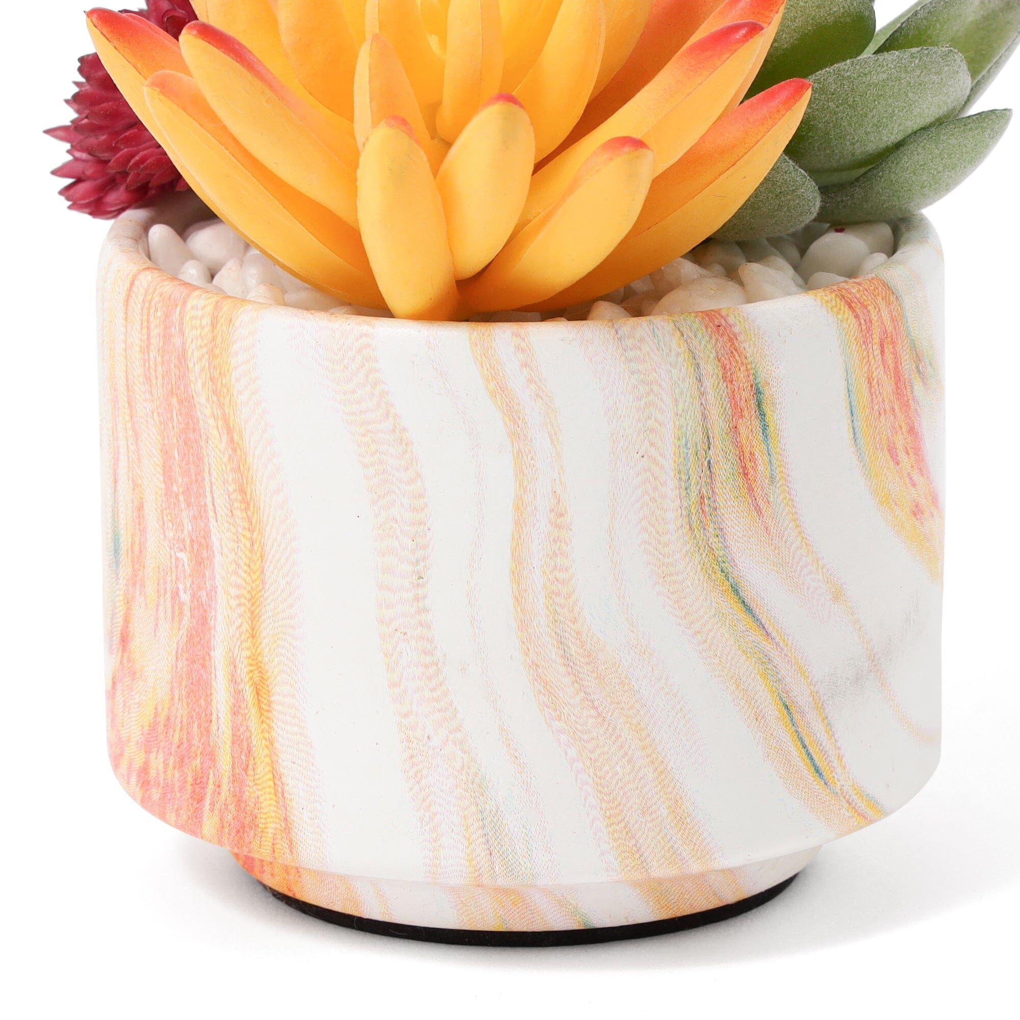 Art Green & Pot Succulent  Orange