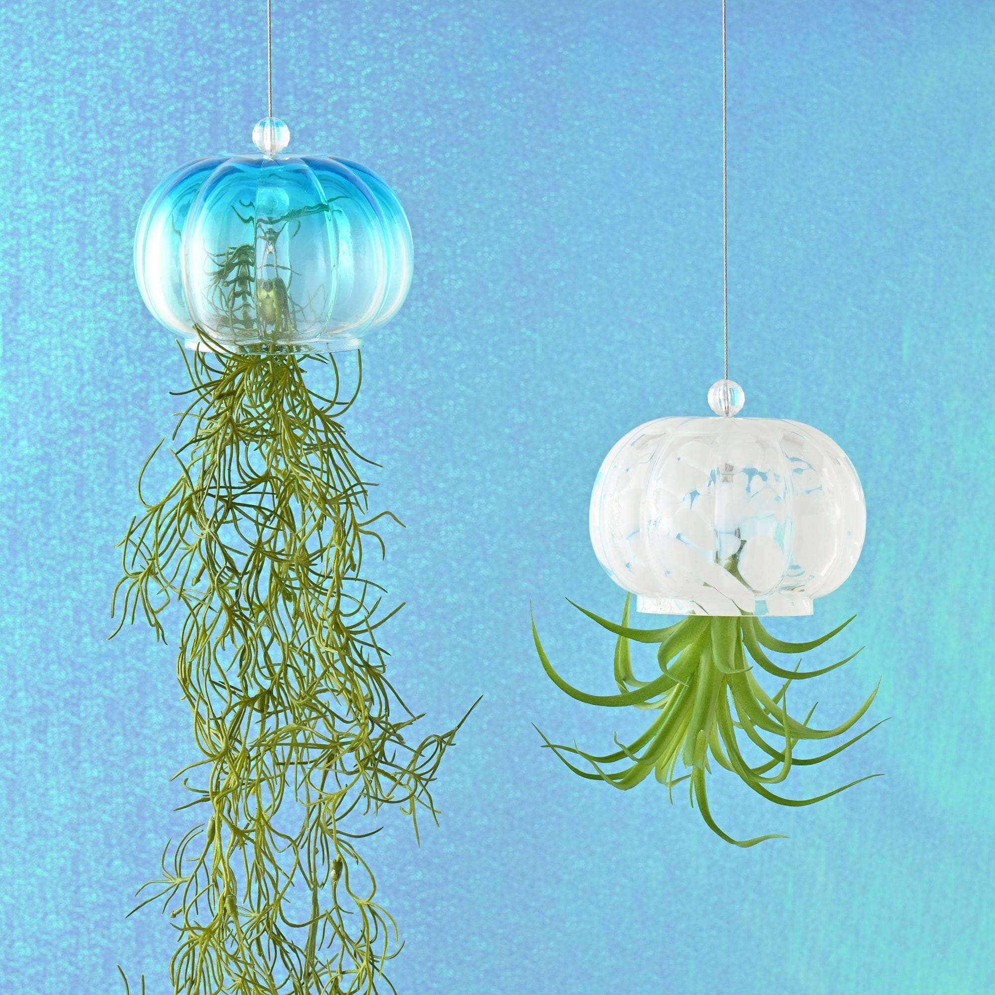 Art Green Jellyfish White