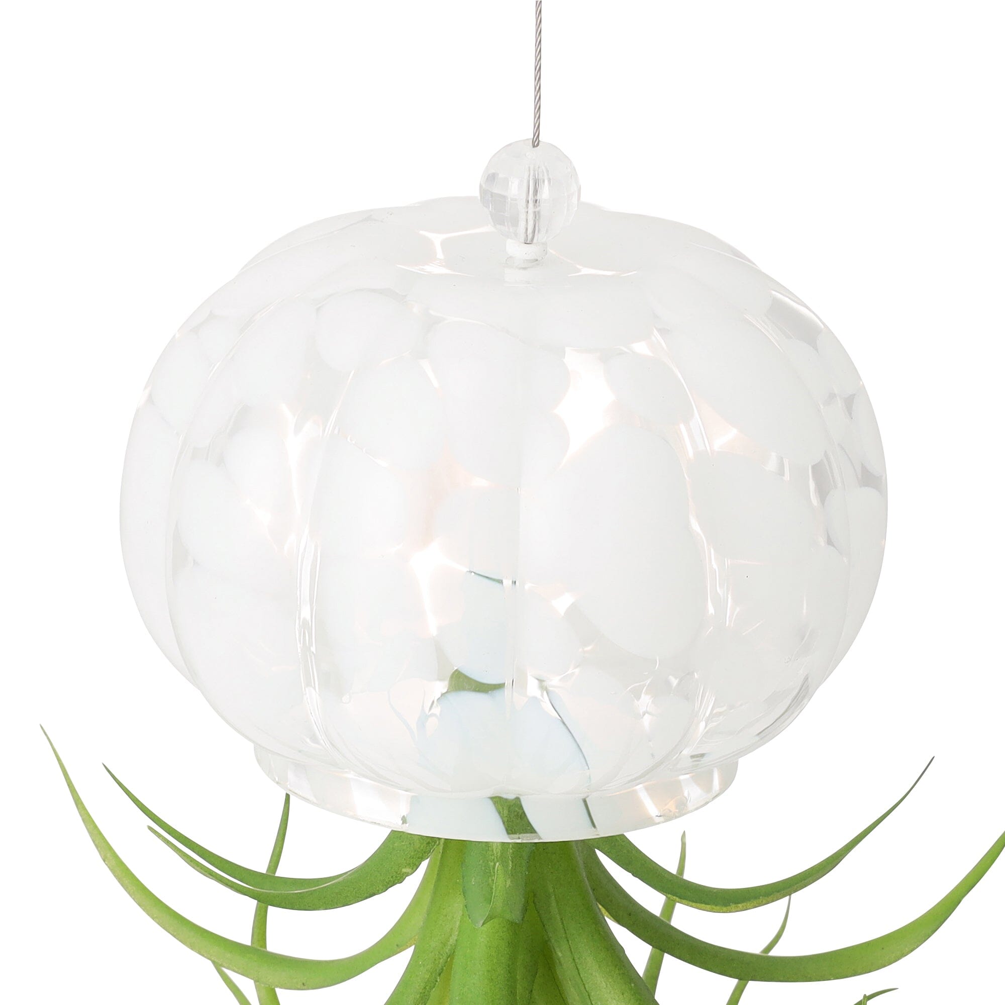 Art Green Jellyfish White