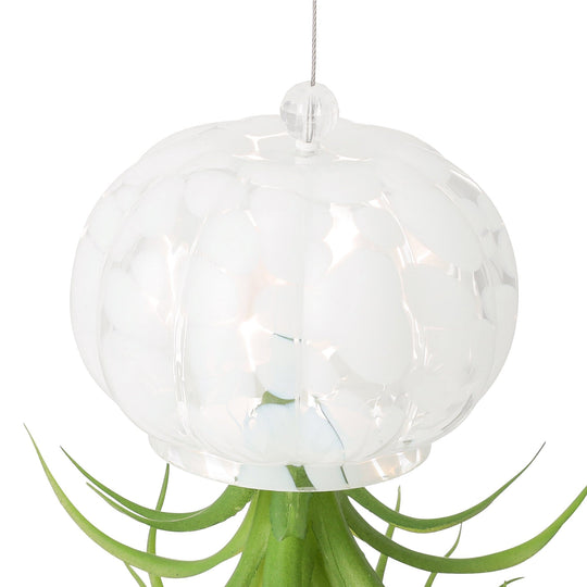 Art Green Jellyfish White