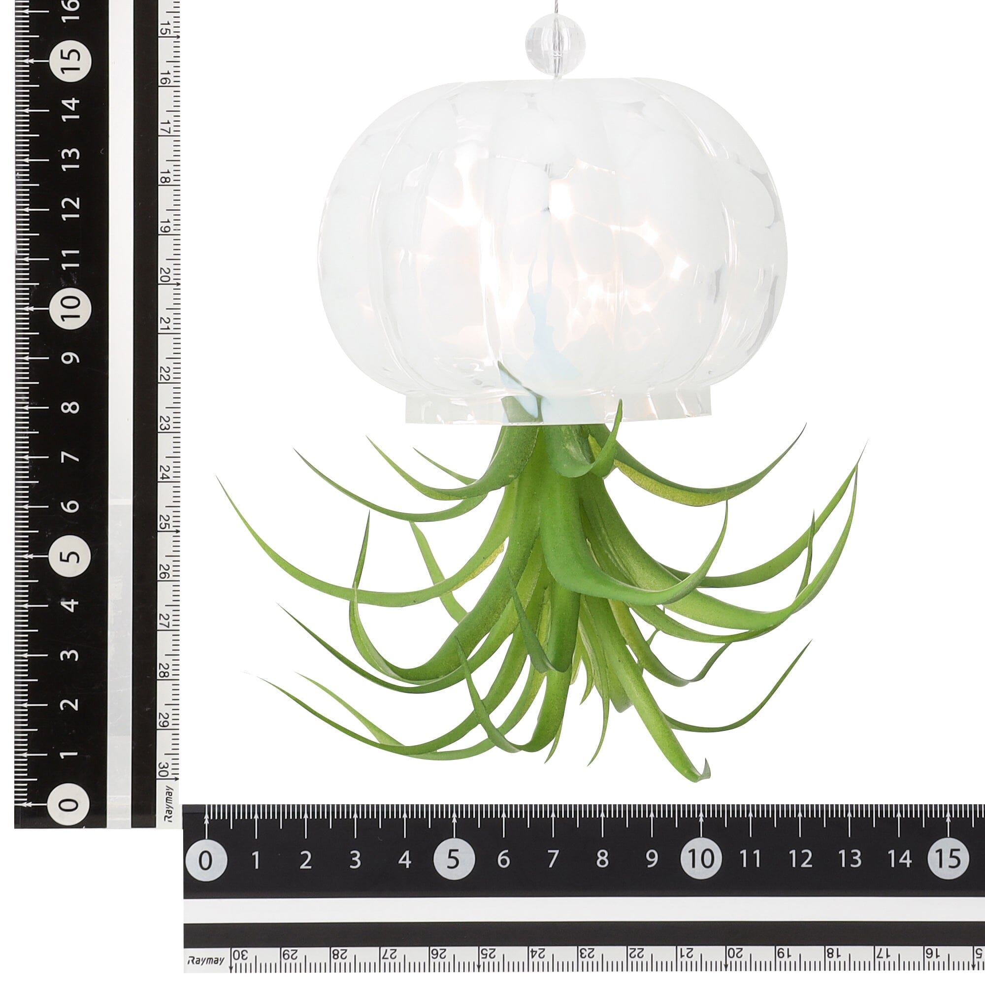 Art Green Jellyfish White