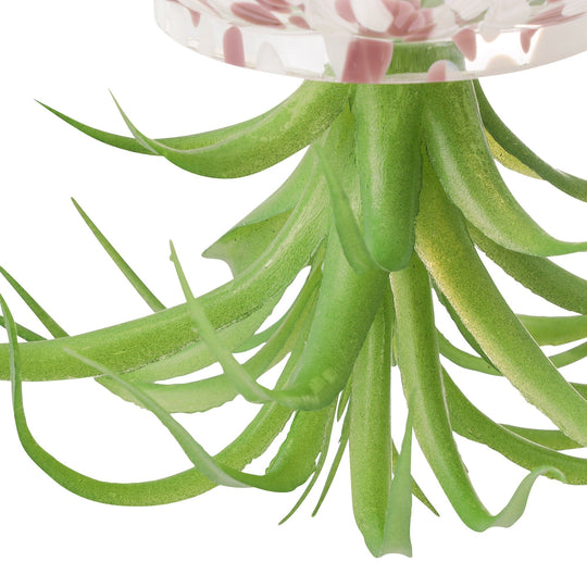 Art Green Jellyfish Pink