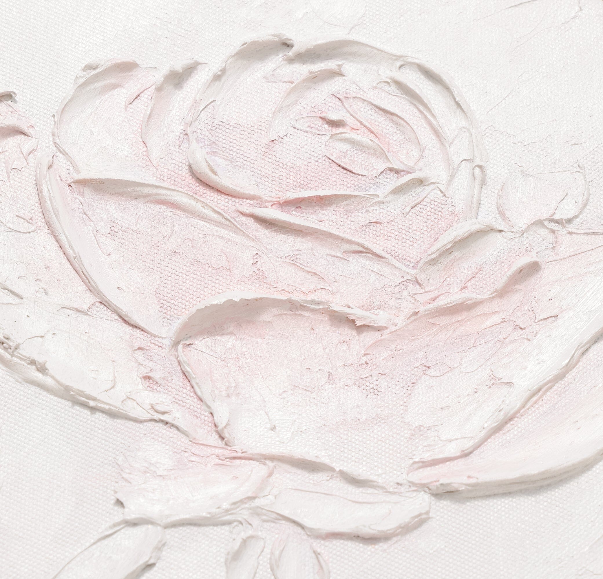White Rose Art Board Pink