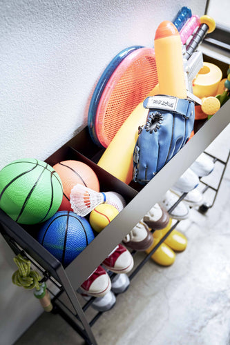 Rolling Entry Storage Shelf Black