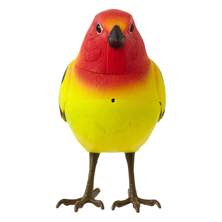 MOTION DETECTOR Music Bird Yellow