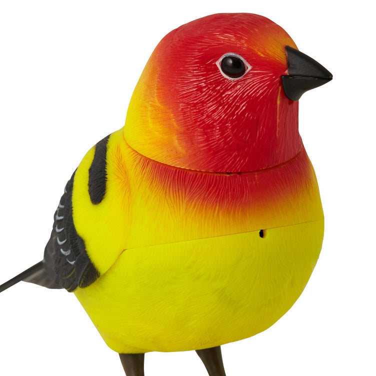 MOTION DETECTOR Music Bird Yellow