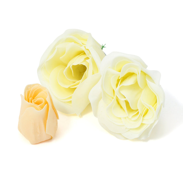 CADEAU MIGNON FIZZ&PETAL LIGHT GREEN