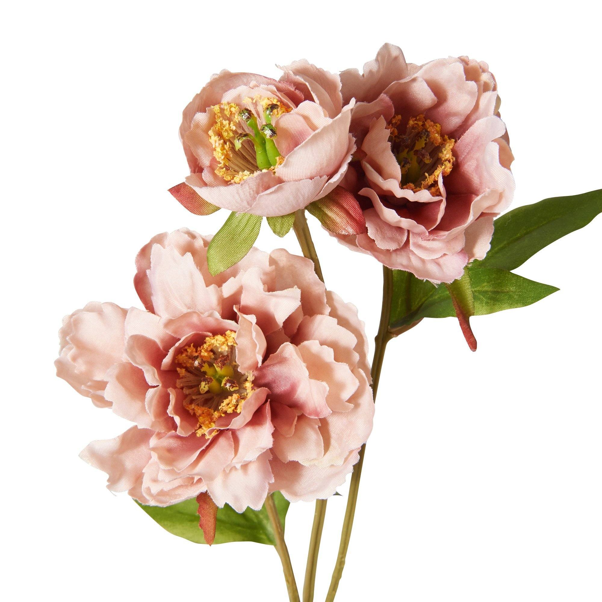 ART FLOWER PEONY PINK