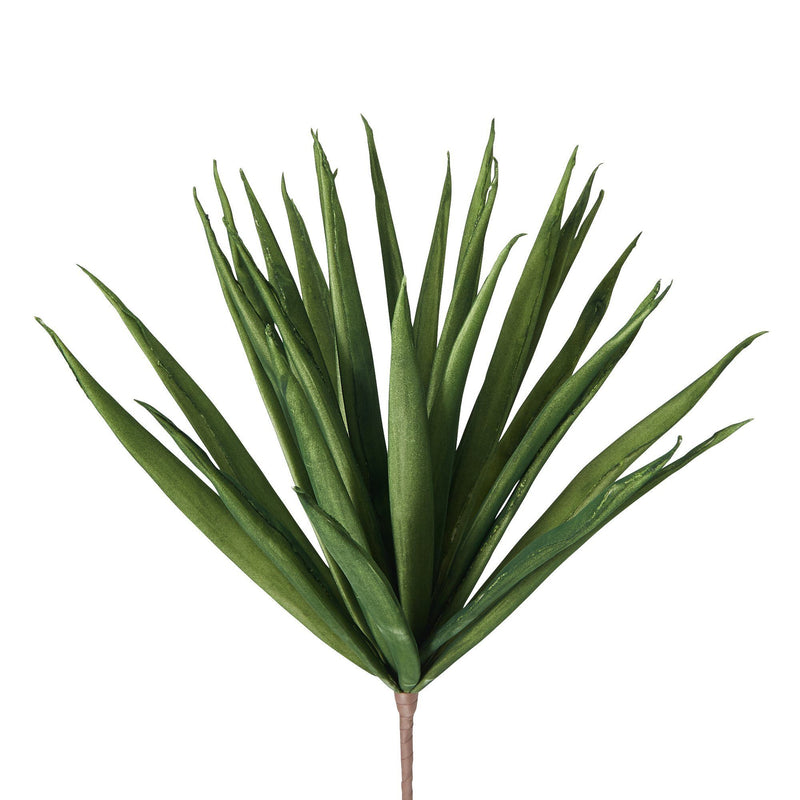 ART PLANTS DRAGON TREE DARK GREEN