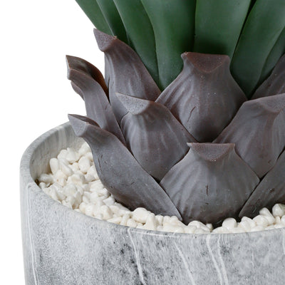 GREEN & POT AGAVE XL Gray