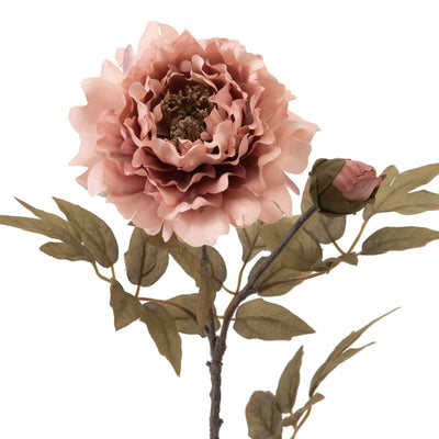 ART FLOWER PEACH PEONY PINK