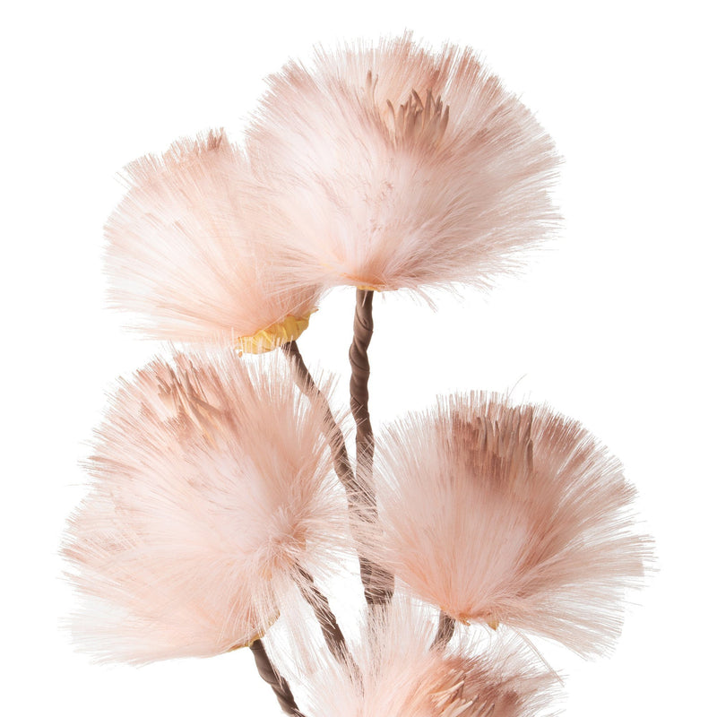 ART PLANT DANDELION LIGHT PINK