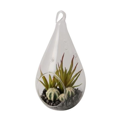 CARO Aloe Pot