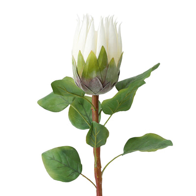 ART FLOWER KING PROTEA WHITE